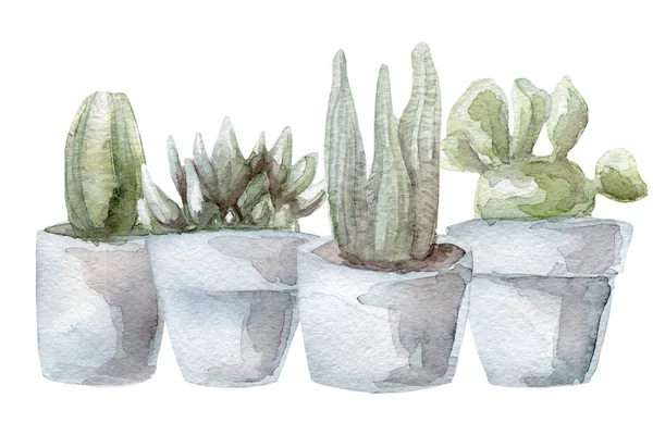 Acquerello cactus e set succulento — Foto Stock