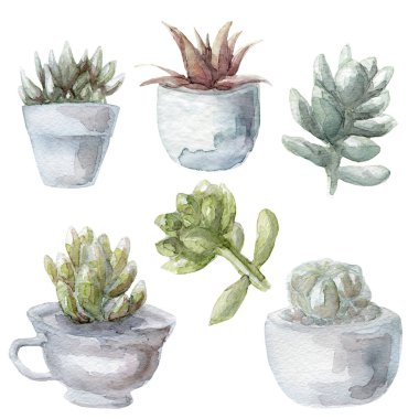 suluboya sulu yeşil bitkiler koleksiyonu illüstrasyon, beyaz arka plan üzerinde izole