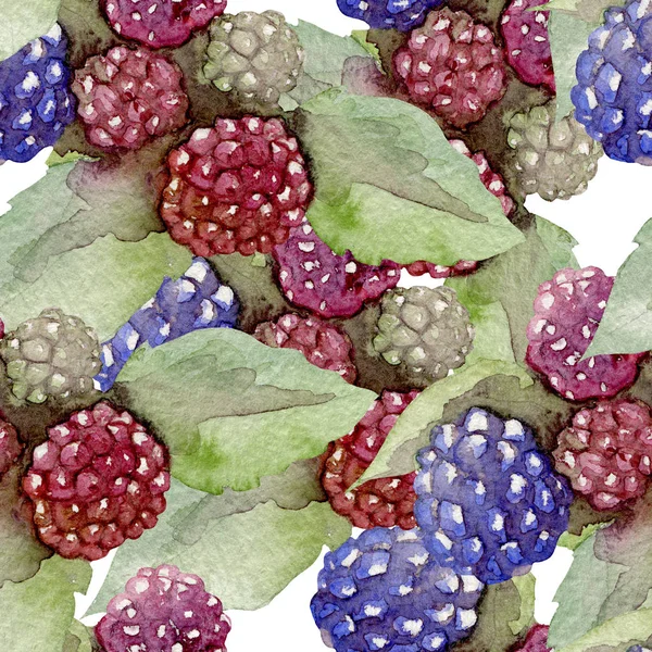 Aquarellmuster mit Beeren — Stockfoto