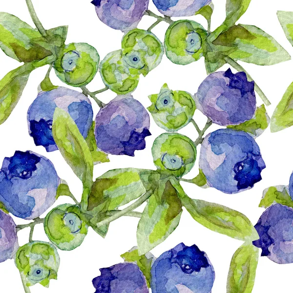 Watercolor pattern with blueberries — Stock Photo, Image