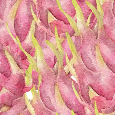 Pitaya suluboya desenle