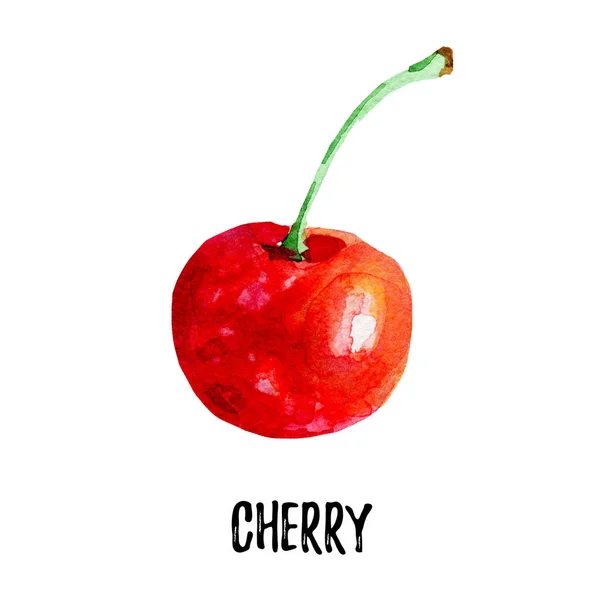 Cherry illustration. Hand drawn watercolor on white background. — Stock Photo, Image