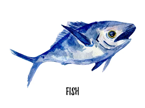 Fischillustration. handgezeichnetes Aquarell auf weißem Hintergrund. — Stockfoto