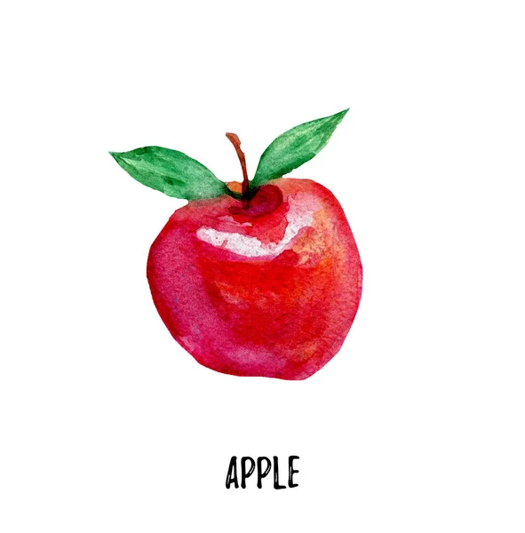 苹果的插图。手画的水彩 — 图库照片