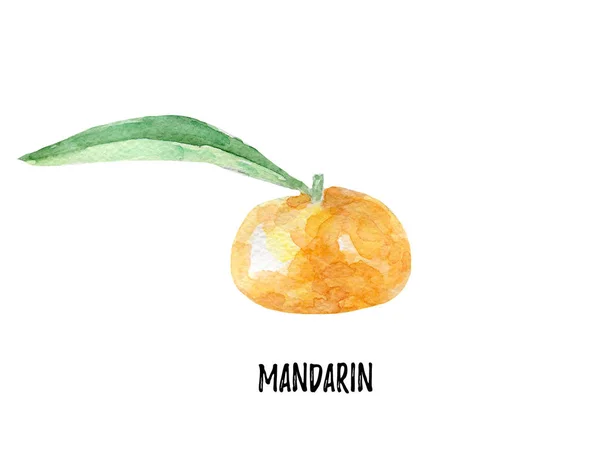 Dialekt mandaryński ilustracja. Dłoń akwarela ciągnione — Zdjęcie stockowe