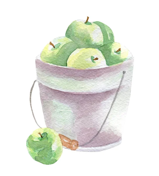 Ilustración de manzanas frescas. Acuarela dibujada a mano sobre fondo blanco . — Foto de Stock