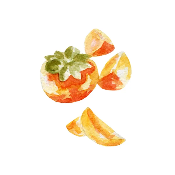 Frische Persimmon Illustration. handgezeichnetes Aquarell auf weißem Hintergrund — Stockfoto