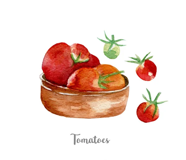 Ilustración de tomates frescos. Acuarela dibujada a mano sobre fondo blanco . — Foto de Stock