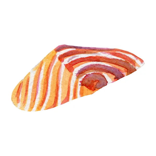 신선한 연어 그림입니다. 흰색 바탕에 손으로 그린된 수채화. — 스톡 사진