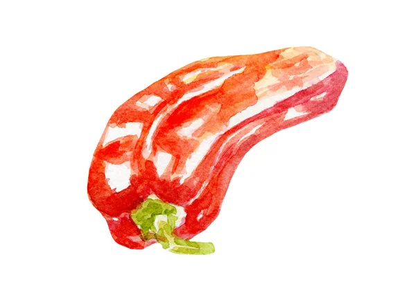 新鮮な唐辛子のイラスト。白い背景の手描き水彩. — ストック写真