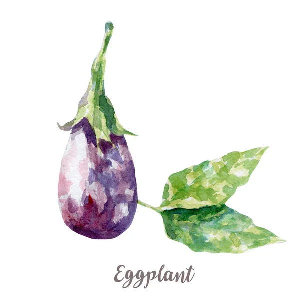 Färsk aubergine illustration. Hand dras akvarell på vit bakgrund. — Stockfoto