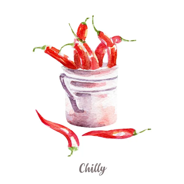Ilustracja świeżego chilli. Dłoń akwarela ciągnione na białym tle. — Zdjęcie stockowe