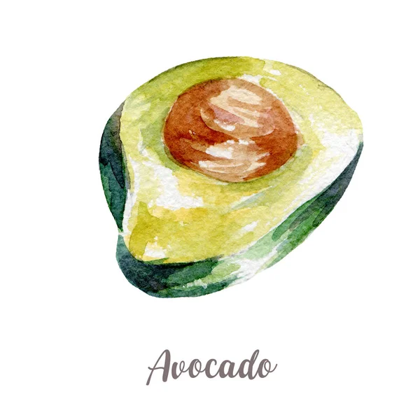 Свежая иллюстрация авокадо. Акварель ручной работы на белом фоне . — стоковое фото