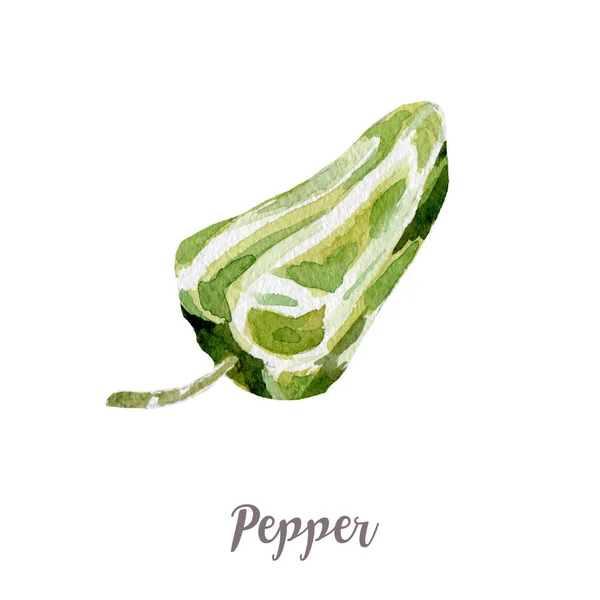 수채화 손 drawngreen의 후추 흰색 배경에 고립 된 야채 그림 — 스톡 사진