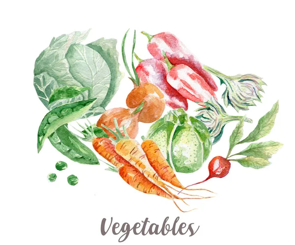 Ilustrace zeleniny. Ručně tažené akvarel na bílém pozadí. — Stock fotografie