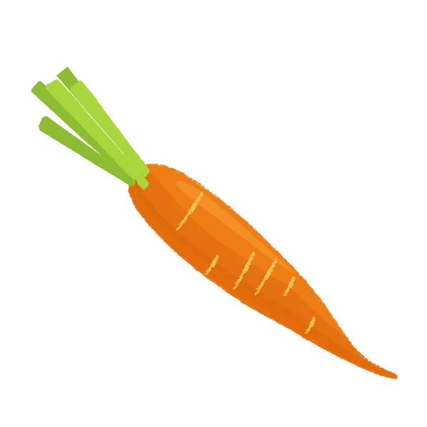 Морква на білому тлі. Векторні — стоковий вектор