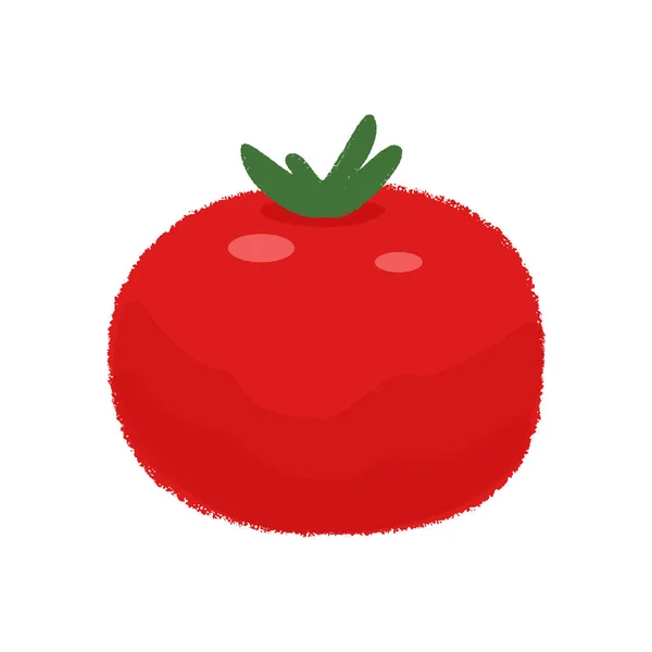Beyaz arka plan üzerinde domates. Vektör — Stok Vektör