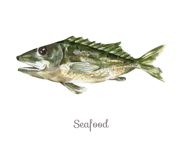 Watercolor seafood Clipart - fish — Stock Photo, Image