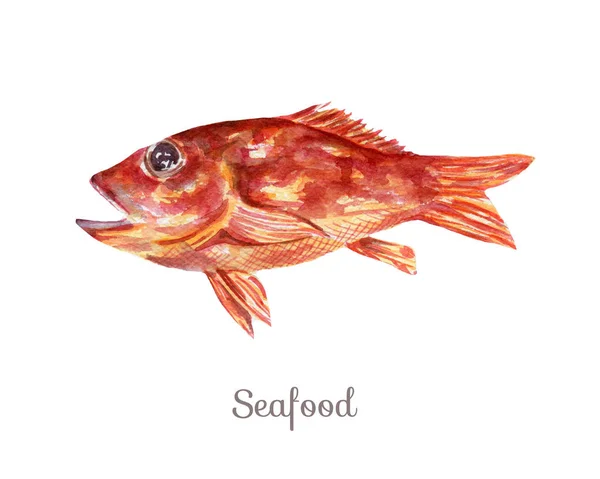 Aquarell Meeresfrüchte Cliparts - Fisch — Stockfoto