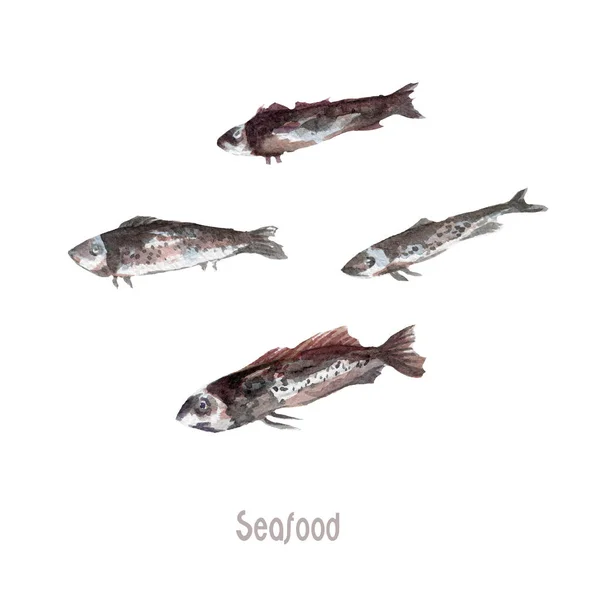 Frischer Fisch ganz isoliert auf weißem Hintergrund — Stockfoto