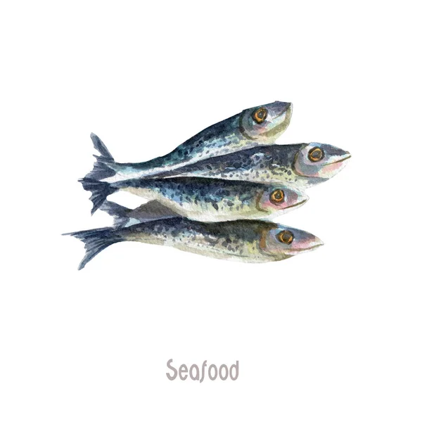 Frischer Fisch ganz isoliert auf weißem Hintergrund — Stockfoto