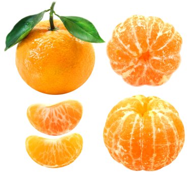 Mandalina grup Fotoğraflar