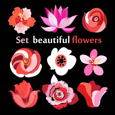 vektör çiçek kümesi