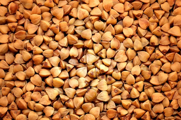 Photo buckwheat background — Stock Photo, Image