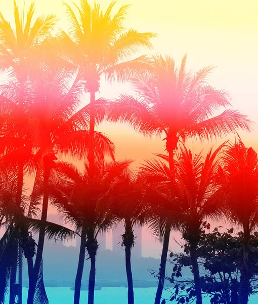 Foto retro de palmeras — Foto de Stock