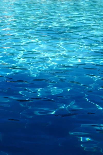 Achtergrondfoto van een mooi zwembad — Stockfoto