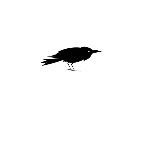 Beau symbole du Corbeau noir — Image vectorielle