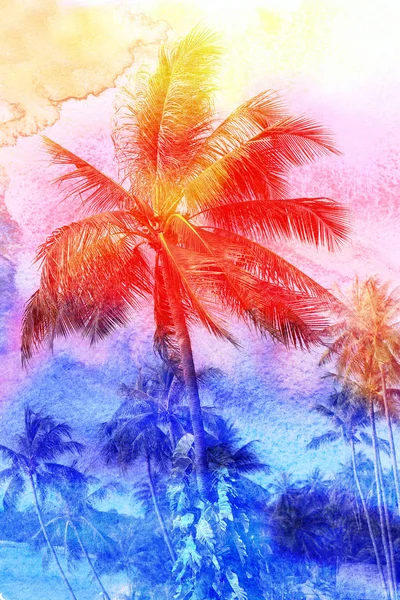Photo rétro de palmiers — Photo