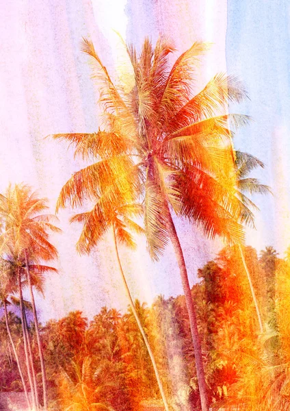 Retro photo of palm trees — Stock Photo, Image