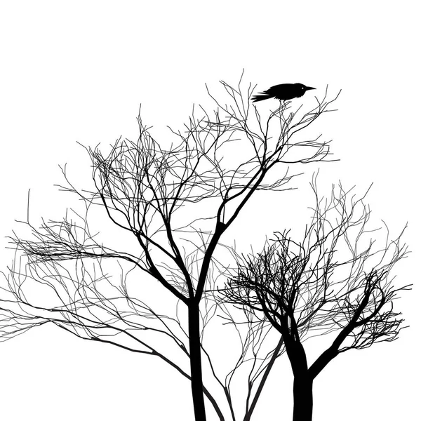 Graficzne drzewa z crow — Wektor stockowy