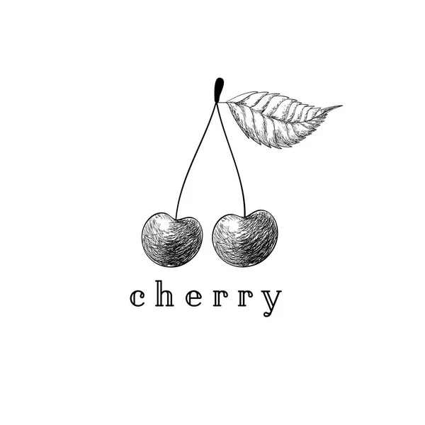 Cherry disegno vettoriale — Vettoriale Stock