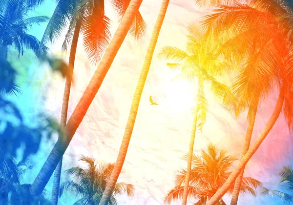 Retro photo background with palm trees — Stock Photo, Image