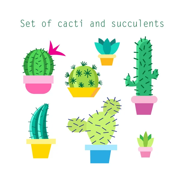 Set vektor dari cacti berbeda - Stok Vektor