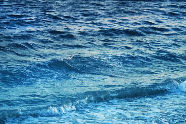 Foto fundo azul água — Fotografia de Stock