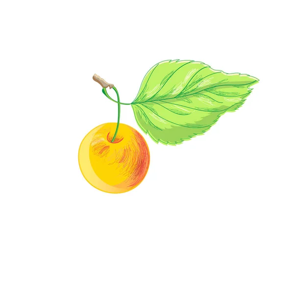 Illustration eines hellen Apfels — Stockvektor