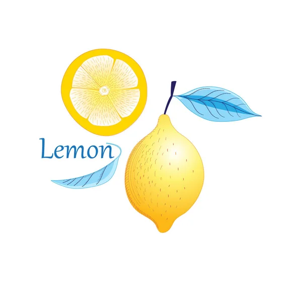 Vektor gyümölcs sárga citrom — Stock Vector