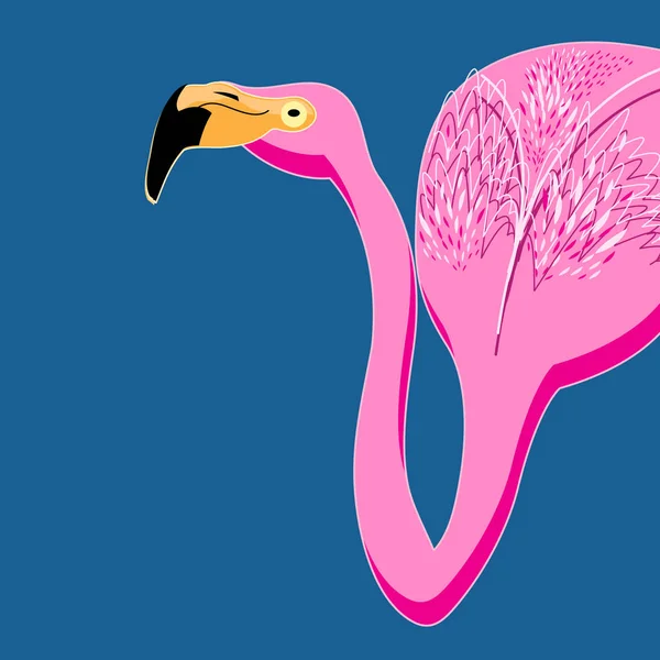 Vector portret van roze flamingo 's — Stockvector