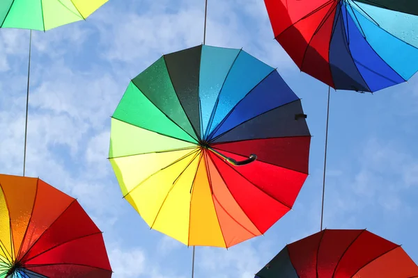 Fotoğraf güzel çok renkli şemsiye 