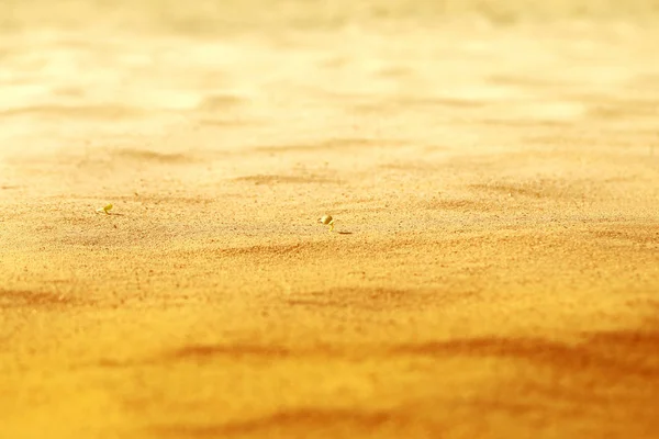 Beautiful texture of yellow sand — Stock Photo, Image