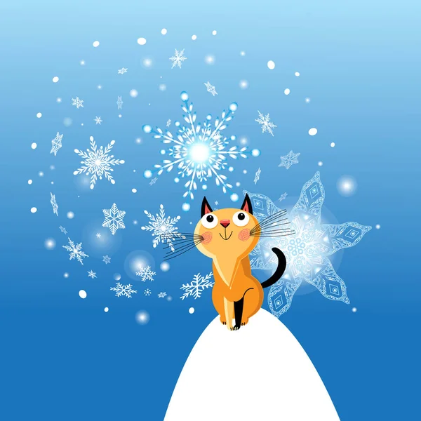 Zimní karta s kočkou na modrém pozadí — Stockový vektor
