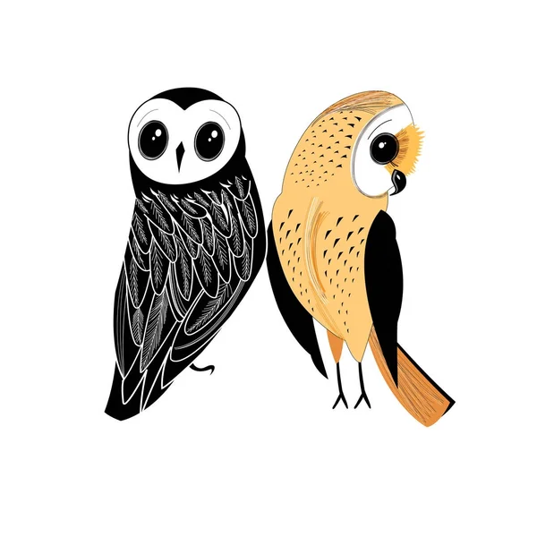 Graphic two owls — Stock Vector