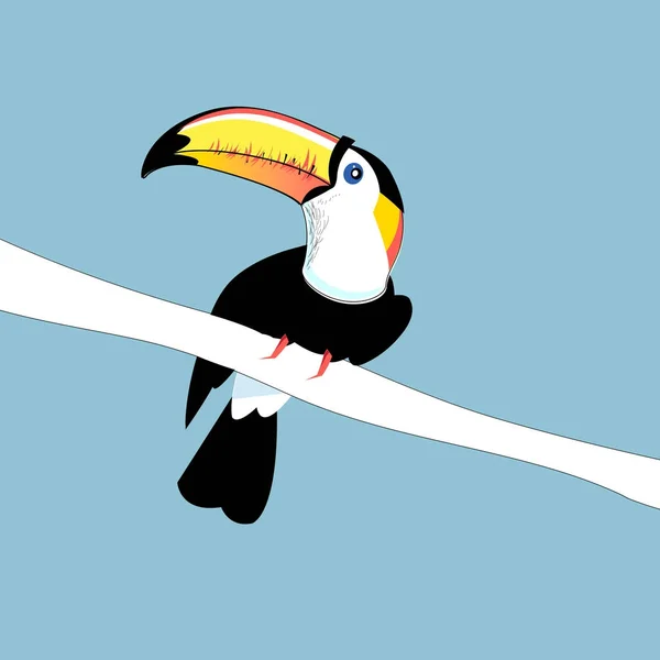 Tekening kleur grappige vogel tuccane — Stockvector