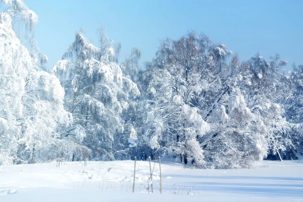 Invierno foto paisaje — Foto de Stock