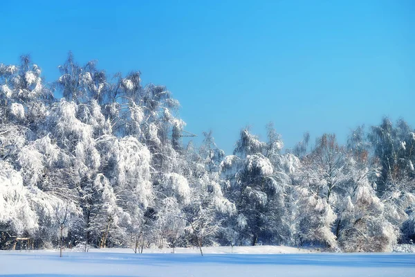 Invierno foto paisaje — Foto de Stock