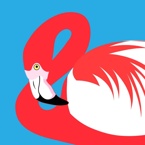 Vector portrait of a red flamingo — Stock Vector