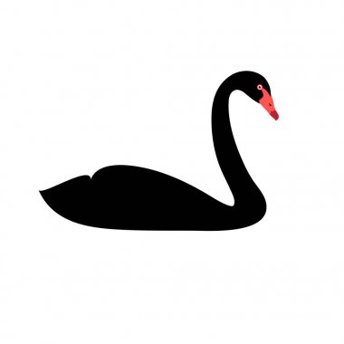 Siyah Kuğu siluet vektör çizim izole 